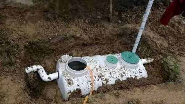 化糞池除臭菌種 化糞池除臭菌種