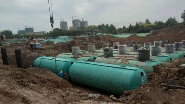 除臭菌種 除臭菌種