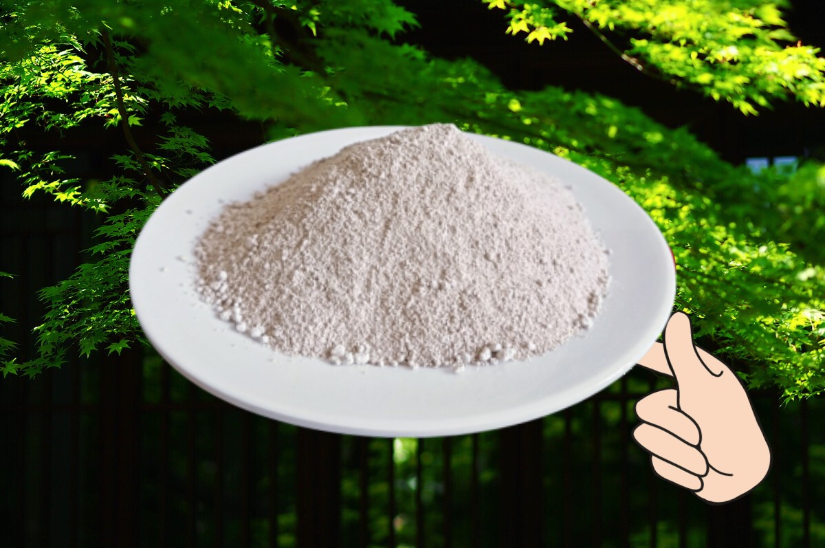 微生物菌種 微生物菌種